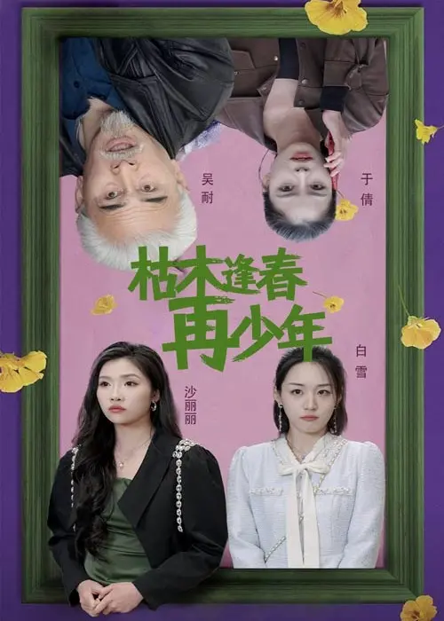 《枯木逢春再少年》：职场“老炮儿”的二次创业，当经验遇上冲劲，一场关于成长与救赎的温暖故事！