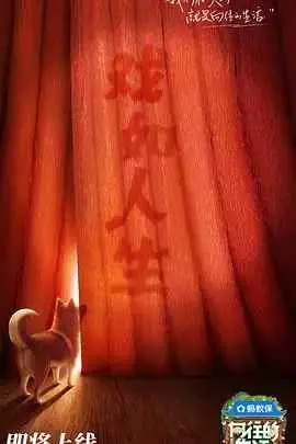 《向往的生活第八季》：慢下来，感受生活真谛，回归田园牧歌的美好时光